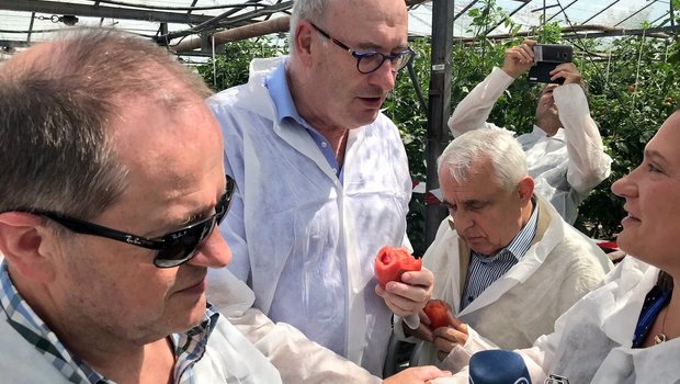 EU-Kommissär Phil Hogan degustiert auf seiner Bulgarienreise eine Tomate. (Bild akr)