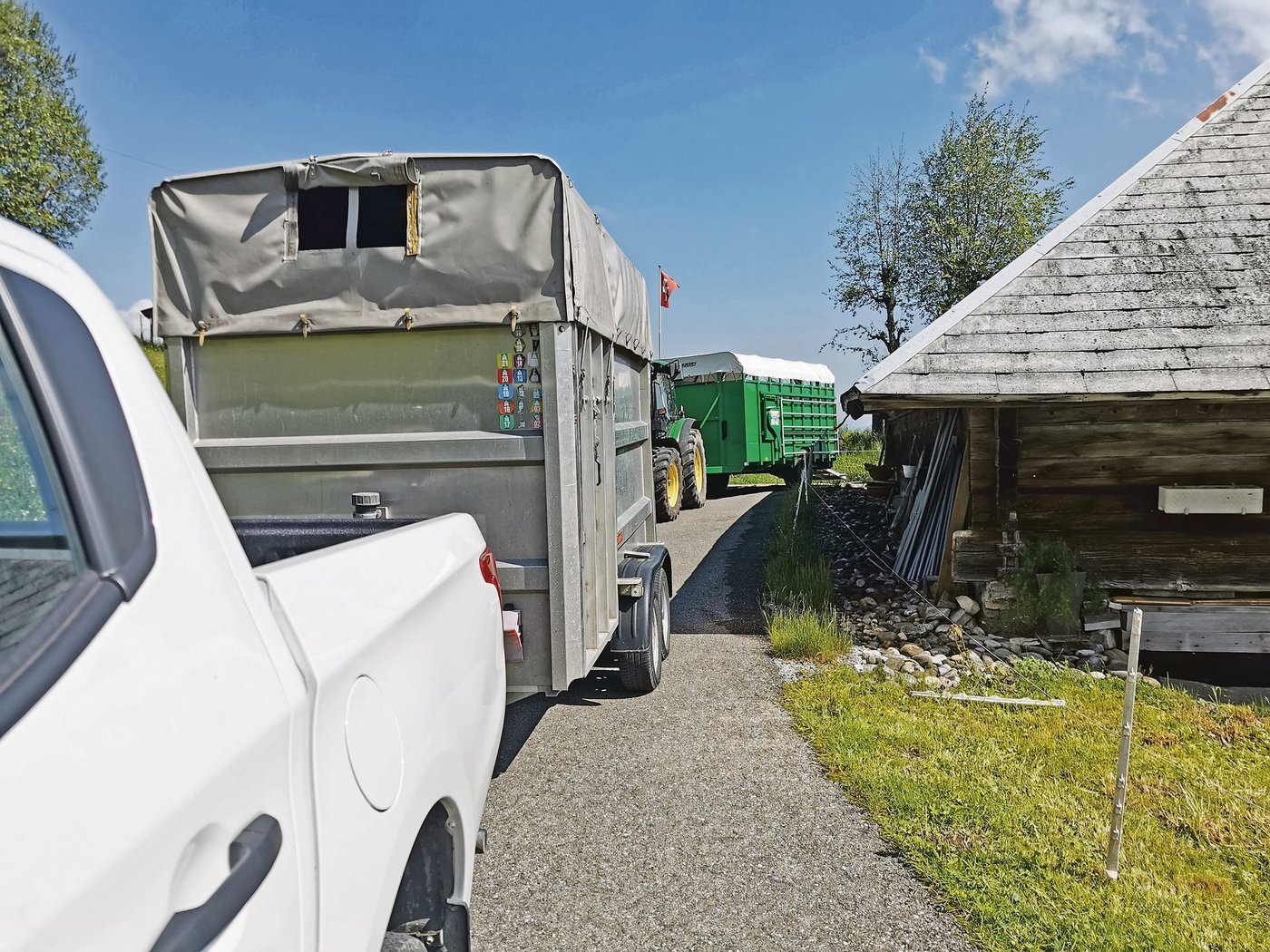 Auf Sömmerungsbetrieben werden Tiere von unterschiedlichen Betrieben zusammengeführt. Das birgt Seuchengefahren.(Bild sb)