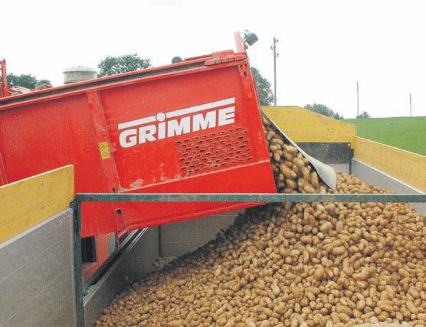 Die Kartoffelernte wird laut ersten Resultaten gross bei guter Qualität. Als Folge sinken die Preise bis zu 10 Franken je 100 kg. (Bild: Hans Rüssli)