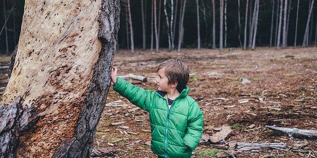 Die Erlebnisse im Wald haben eine bleibende Wirkung bei den Kindern und tragen zur Bildung bei. (Bild pixabay)