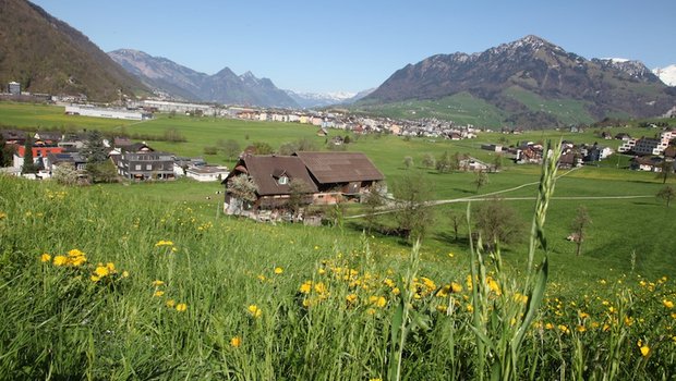 Koordinierte Betriebskontrollen im Kanton Nidwalden (Symbolbild BauZ)