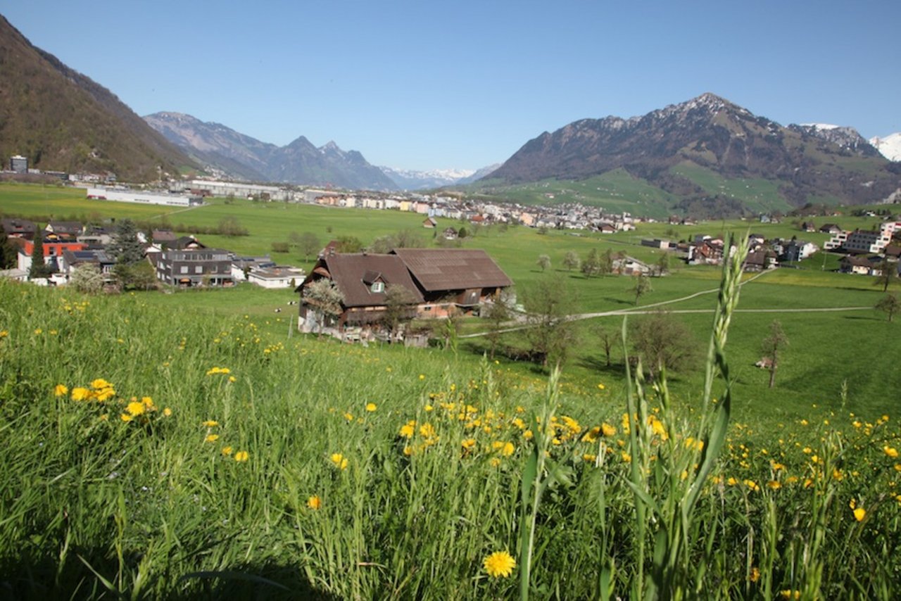 Koordinierte Betriebskontrollen im Kanton Nidwalden (Symbolbild BauZ)