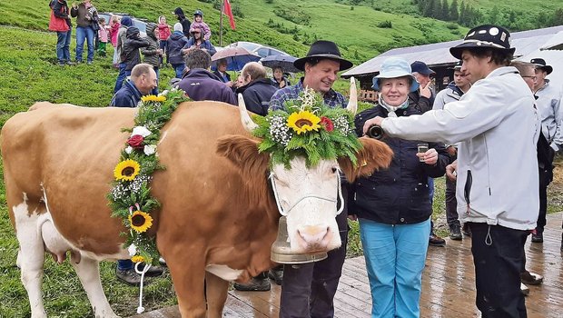 Tagebuch: Auf der Alp wurde ein Fest mit Tradition und Kultur gefeiert Die Meisterkuh Daria ist gelassen, während die anderen Leute Weisswein trinken. (Bild Toni Bergmann)