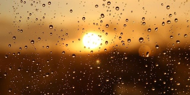 Der Sommer war im auslaufenden Jahr sonnenreich, im Allgemeinen gab es aber genügend Niederschlag. (Bild Pixabay)