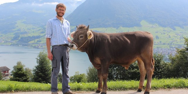 Der Stier Oreo von Fredy Frank (Kat.-Nr. 6) ist gemäss Reglement der richtige Mister Genetik OB. (Bild Braunvieh Schweiz)