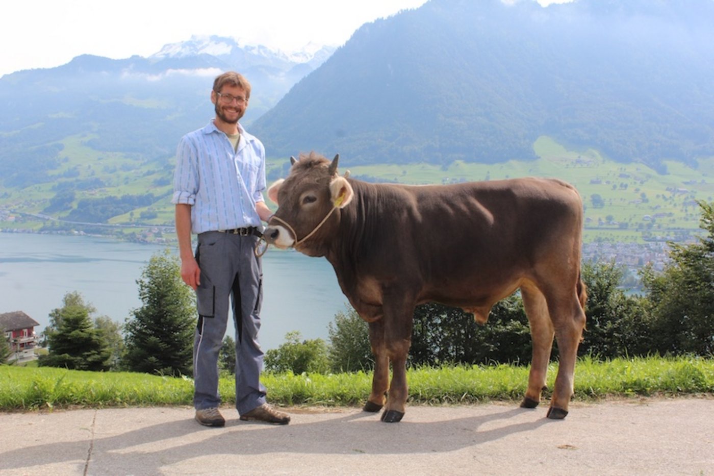 Der Stier Oreo von Fredy Frank (Kat.-Nr. 6) ist gemäss Reglement der richtige Mister Genetik OB. (Bild Braunvieh Schweiz)