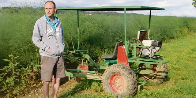 Oliver Brupbacher vom Erlenhof präsentiert eine selber entwickelte Erntemaschine. Im Moment ist das Kraut seiner Spargeln auf Mannshöhe gewachsen. (Bild Roland Müller)