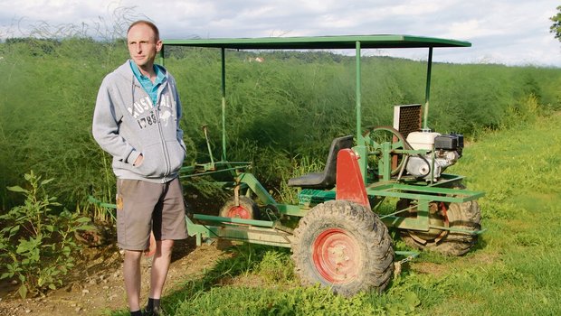 Oliver Brupbacher vom Erlenhof präsentiert eine selber entwickelte Erntemaschine. Im Moment ist das Kraut seiner Spargeln auf Mannshöhe gewachsen. (Bild Roland Müller)