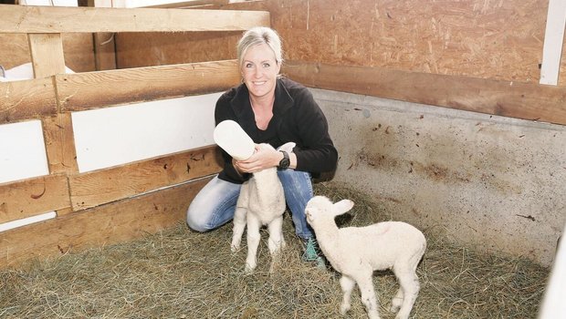 Neben den vierzehn Milchkühen ist Priska Dettling auf ihrem Betrieb auch für die rund fünfzig Schafe verantwortlich. Bei Mehrlingsgeburten heisst es dann «schöppele».