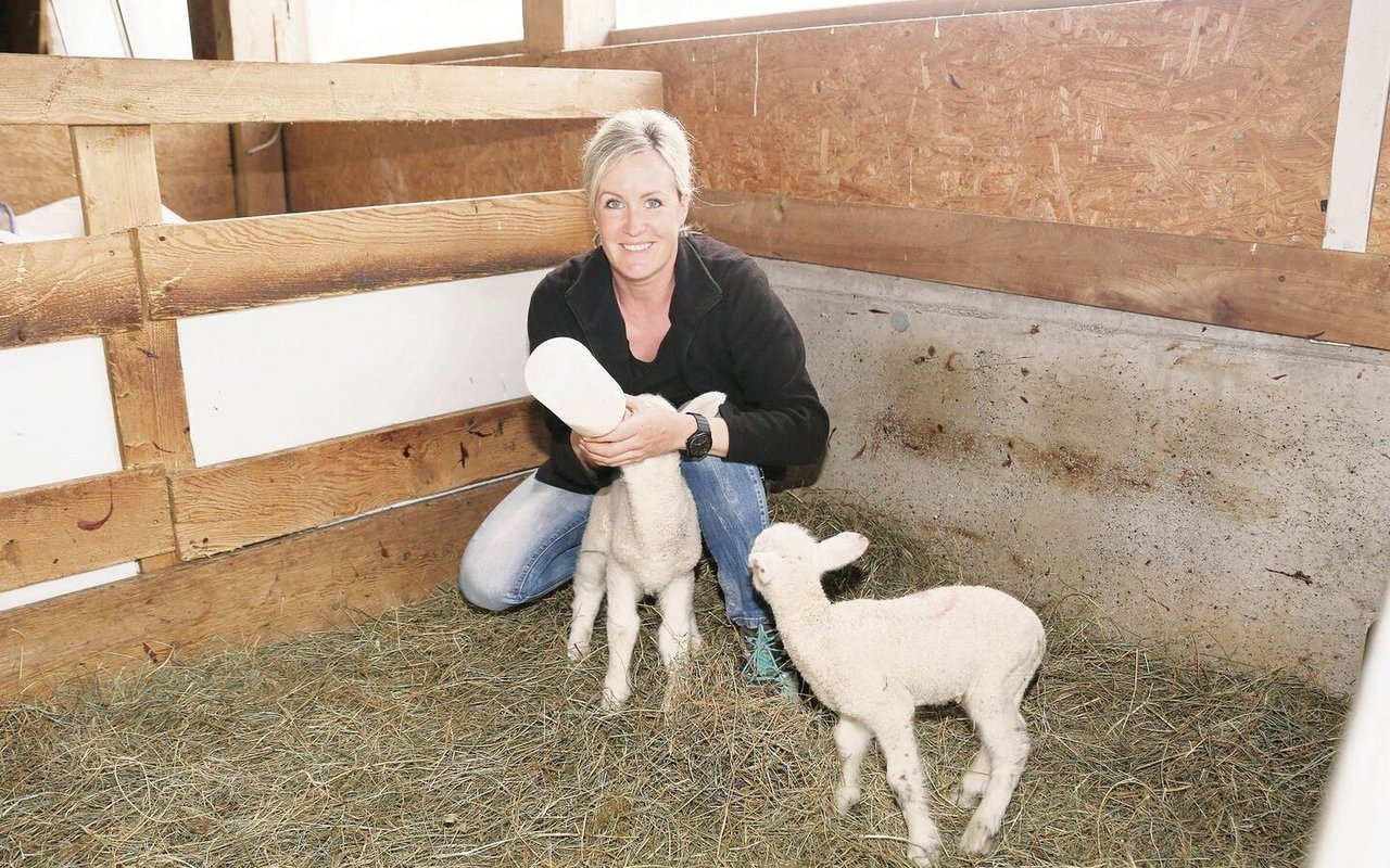 Neben den vierzehn Milchkühen ist Priska Dettling auf ihrem Betrieb auch für die rund fünfzig Schafe verantwortlich. Bei Mehrlingsgeburten heisst es dann «schöppele».