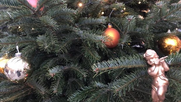 Statt Weihnachen im Wald zu feiern, empfehlen die Christbaumproduzenten breite Tannen zu kaufen. Das sorge auch für Abstand. (Symbolbild et)