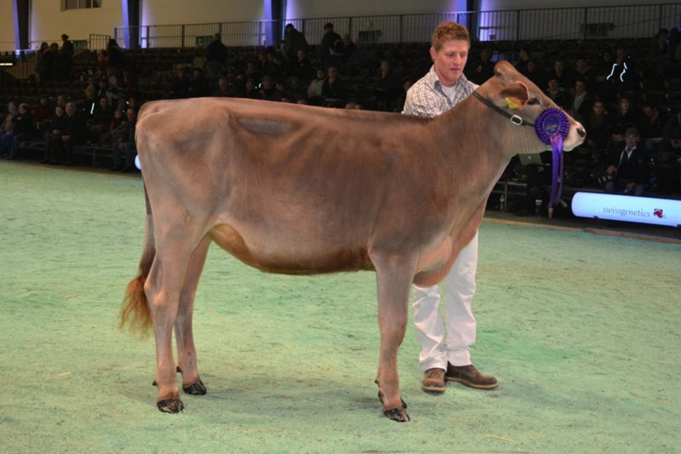 Junior Champion WTS Blooming Joyce