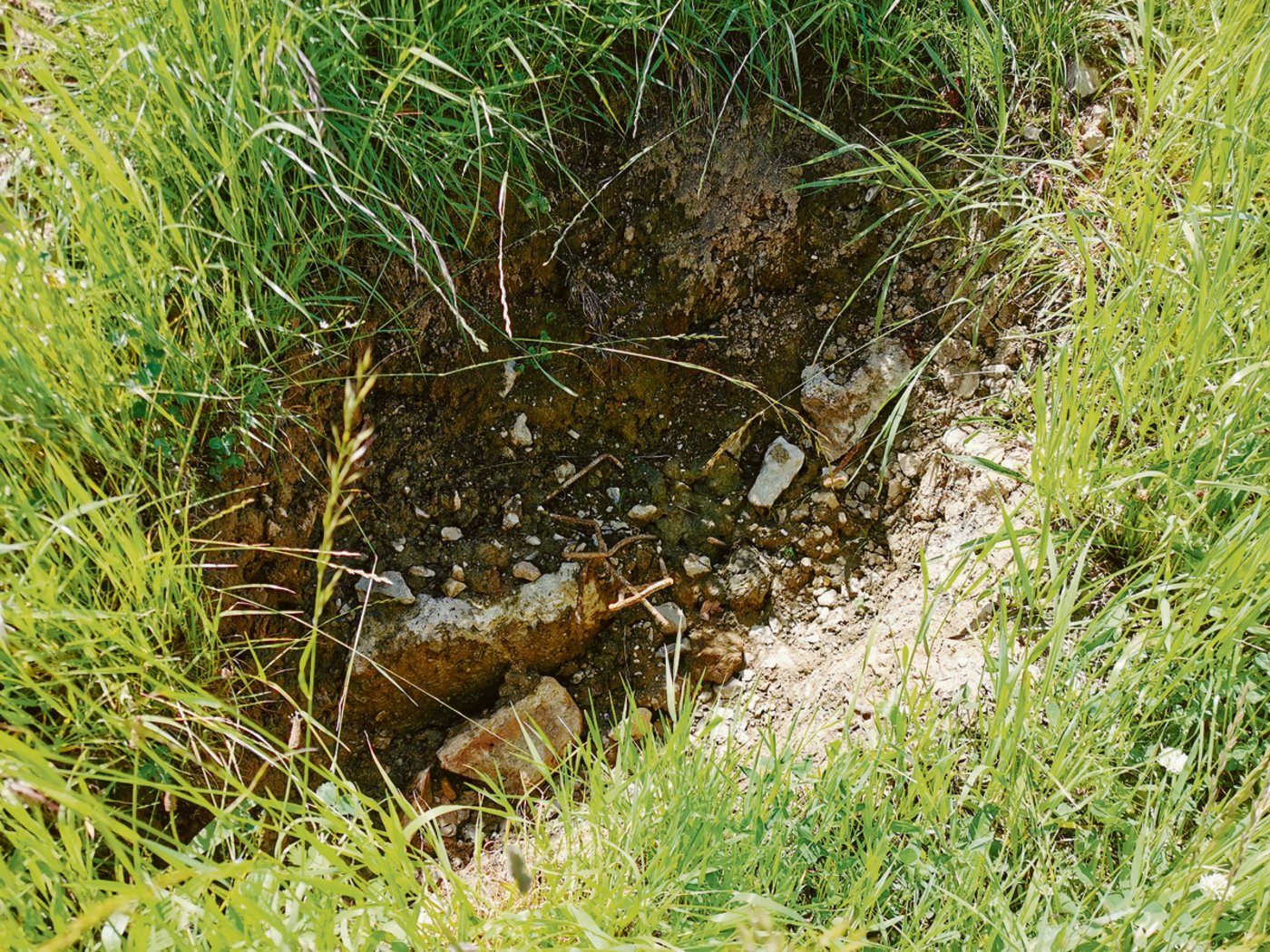Das Kranfundament steht noch, dahinter ein halsbrecherisches Loch. Hier kann derzeit sicher nicht geweidet werden.   