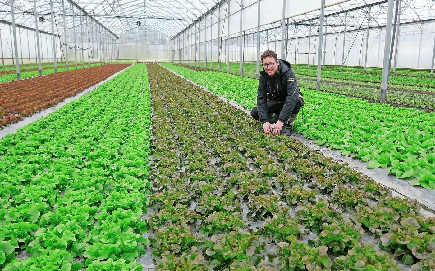 Bis zu 260 verschiedene Kulturen wachsen auf dem Betrieb. Neben dem Hofladen beliefert Risch auch Marktfahrer und den Grosshandel. 