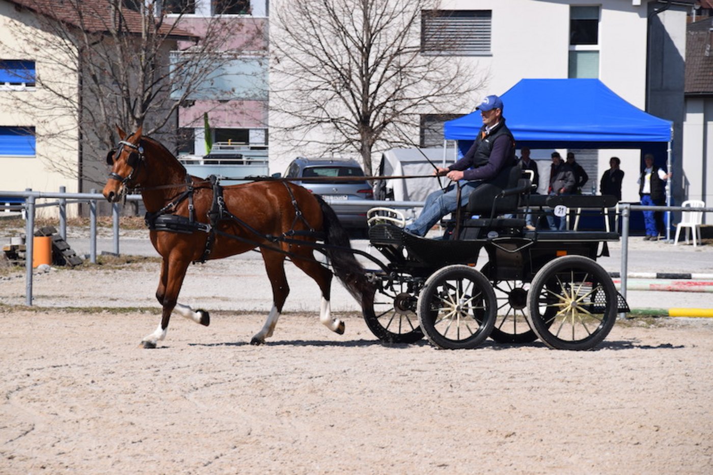 Bernhard Wühtrich aus Rubigen mit Siegerin Melodie BW. (Bild joy)