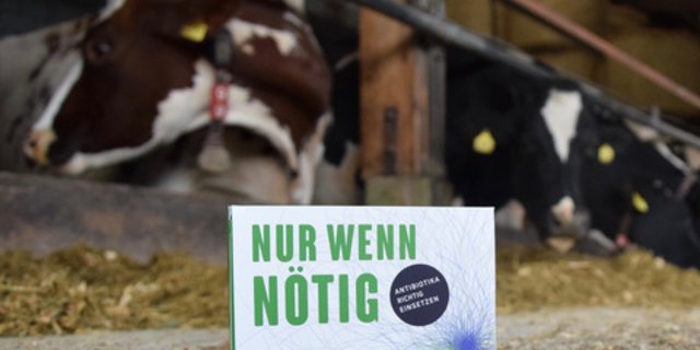Die Wirksamkeit von Antibiotika für Mensch und Tier erhalten und Resistenzen vermindern: Das sind die beiden wichtigsten Ziele der nationalen Strategie Antibiotikaresistenzen StAR. (Bild BauZ)