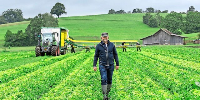 Der Chef auf dem Feld: Auf dem Biogemüsebetrieb von Christian Gerber im Zürcher Oberland kommen durchaus auch grosse Maschinen wie Erntewagen zum Einsatz. 