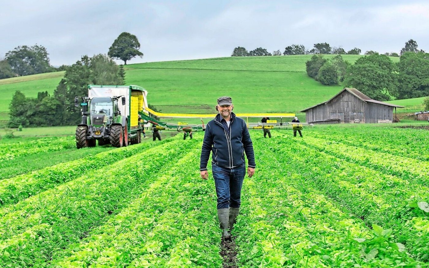 Der Chef auf dem Feld: Auf dem Biogemüsebetrieb von Christian Gerber im Zürcher Oberland kommen durchaus auch grosse Maschinen wie Erntewagen zum Einsatz. 