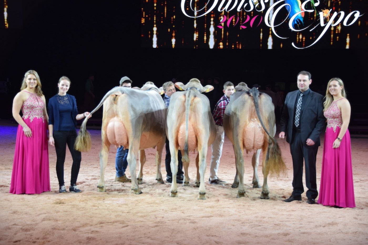 Intermediare Schöneuter (v. l. n. r.): Schöneuter wurde hier Allure Libia von Martin Reichmuth aus Rothenthurm SZ; Reserve: Husers Hägar Robina und Dritte Gislerwaid Blooming Cheyenne. 