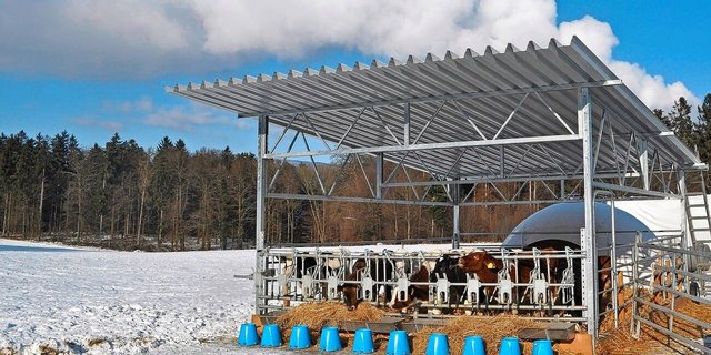 Bei den Betrieben, die das Freiluftkalb-Konzept umsetzten, sank der Antibiotikaeinsatz um 80 Prozent. 