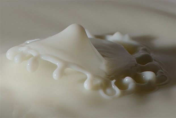 Miba und Nordostmilch spannen im Milchhandel zusammen. (Bild pd)