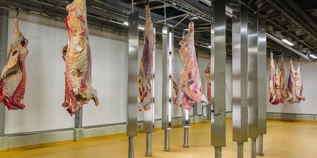 Mit 40 Kameras und acht Türmen bildet das Klassifiziergerät BCC-3 ein virtuelles 3D-Modell ab und kategorisiert es.