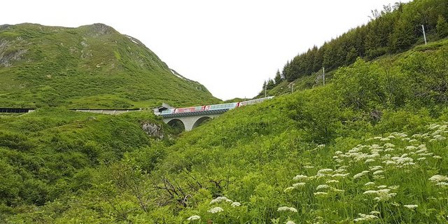 Die Verbuschung beeinträchtig die Biodiversität. (Bild lid/ji)