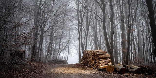 Wie es zum Unfall kam, wird noch untersucht. (Symbolbild Pixabay)