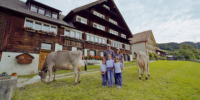 Walter Rhyner und seine Familie aus Hoffeld SG machten auch in einem Rassenpromotion-Video von Braunvieh Schweiz mit. Ihre Braunviehkühe sind milch- und exterieurmässig top. (Bild Braunvieh Schweiz)