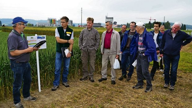 Hermann Mugli (links) und Kalle Camp (zweiter von links), erklärten den Interessierten an dem Getreideposten die Vor- und Nachteile der jeweiligen Getreidesorten. (Bild 1/4, Bilder: Peter Fankhauser)
