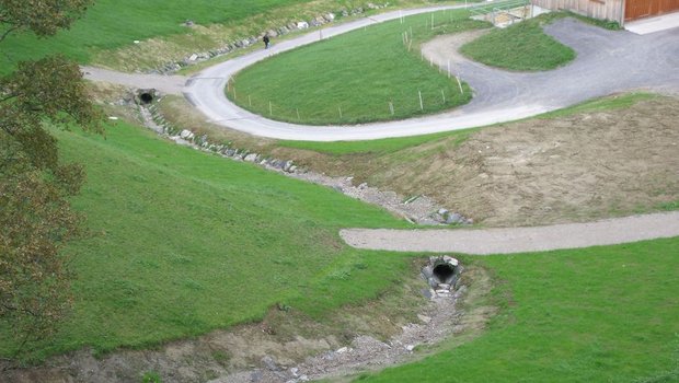 Beispiel einer Gewässerrevitalisierung im Kanton Ausserrhoden aus dem Jahr 2013: Der Zübelbach in Urnäsch. (Bild zVg)