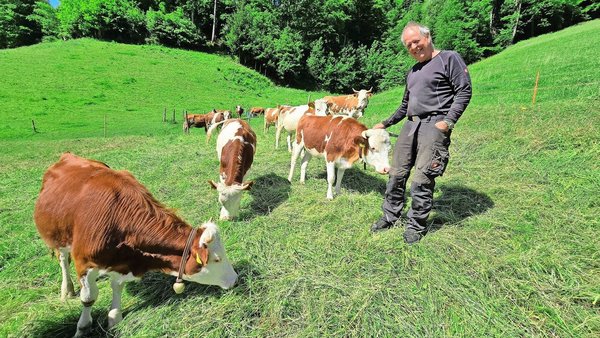 Andreas Schneider inmitten seiner Rinder und Kühe: Mit ihnen produziert er nicht nur Fleisch, sondern auch Muka-Milch in Demeter-Qualität. Verarbeitet wird sie in der Bio-Käserei in Worb.
