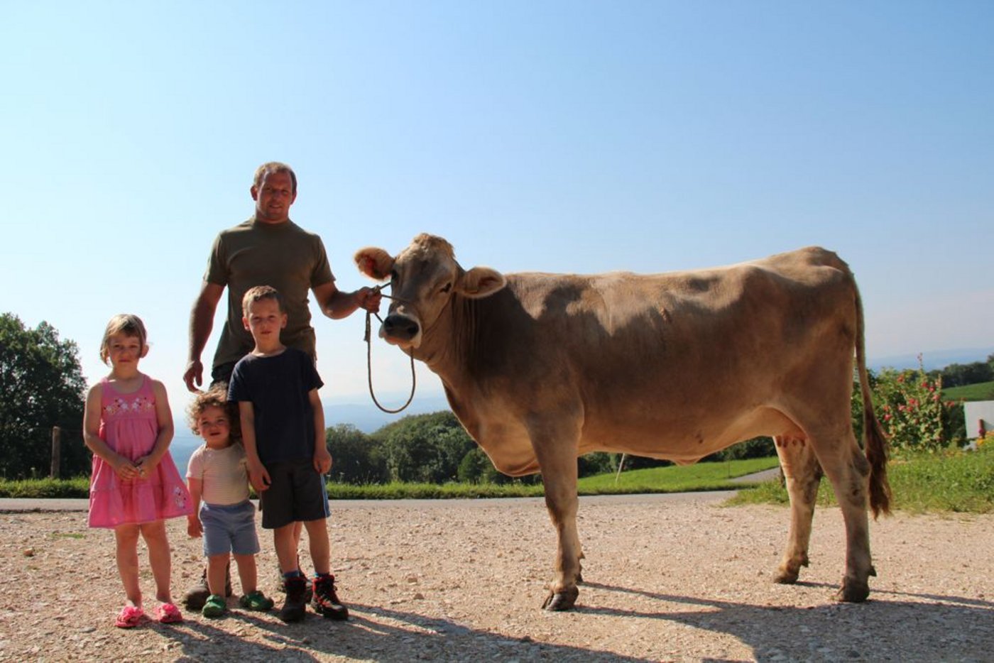 Der Eidgenössische Kranzschwinger Bruno Gisler, Rumisberg, mit seinen Kindern Aurelia (links), Flavia und Timo, präsentiert das Braunviehrind Jona (Jongleur), das an der Auktion zu kaufen ist. (Bild: Benildis Bentolila)