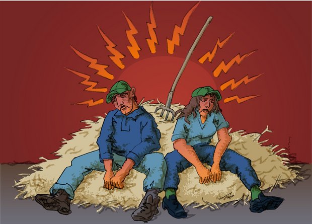 Wie stark leidet die Landwirtschaft unter Stresskrankheiten? Landwirte sind tendenziell häufiger von Burnout betroffen als die übrige Bevölkerung, zeigte eine Studie von Agroscope und der ZHAW. (Bild Agroscope)