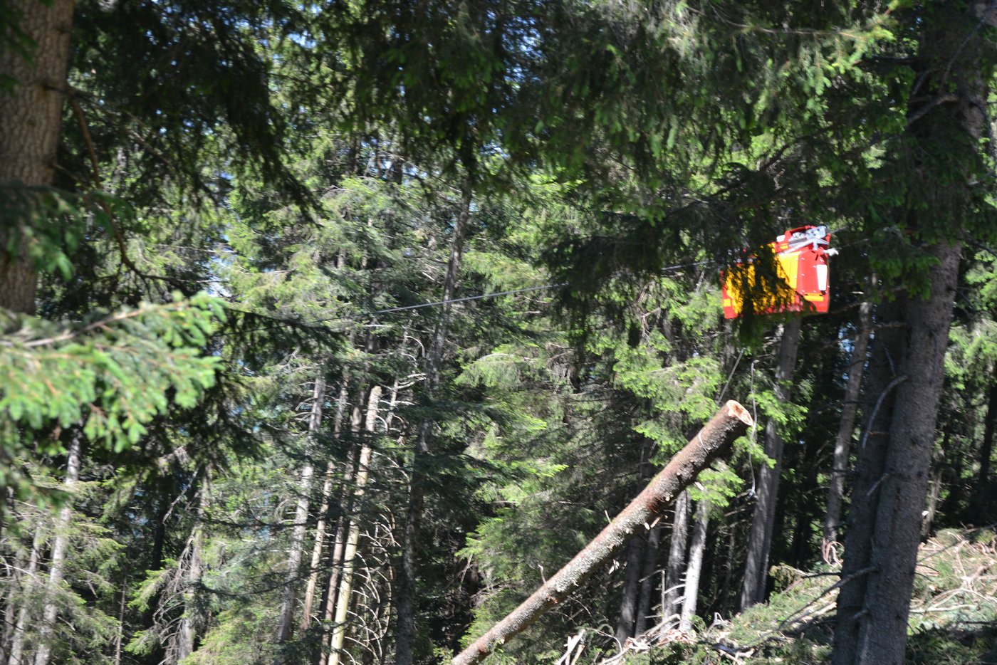 Eine hochwertige Seilkrantechnik bringt die Stämme vom Berg hinunter ins «Tal».