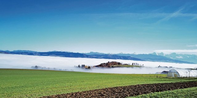 Nebel hat vielfach einen positiven Einfluss auf den lokalen Wasserkreislauf. Durch die feinen Wassertröpfchen in der Luft nimmt die Verdunstung ab. So beeinflussen auch längere Trockenphasen den Grundwasserspiegel nur wenig. 