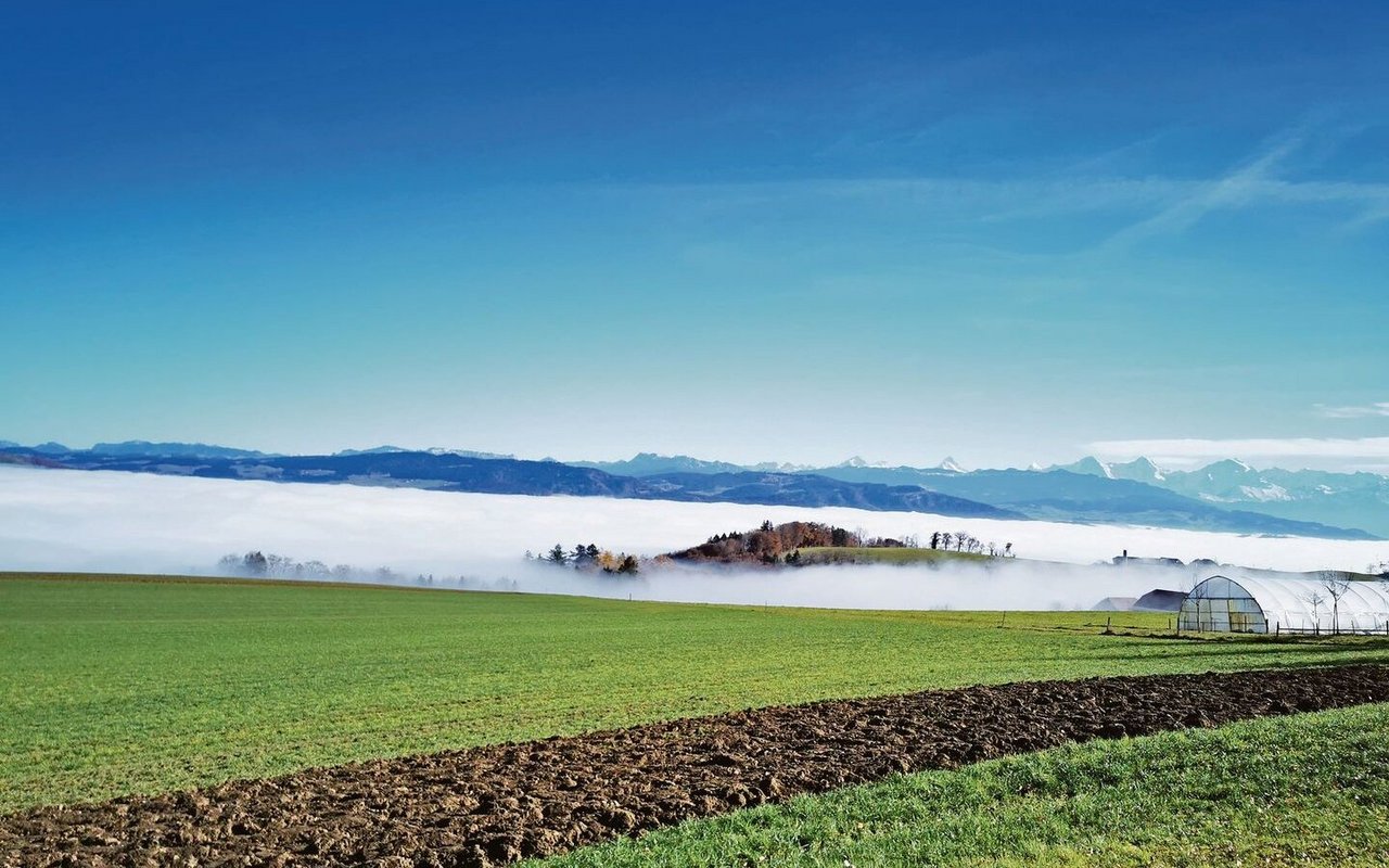 Nebel hat vielfach einen positiven Einfluss auf den lokalen Wasserkreislauf. Durch die feinen Wassertröpfchen in der Luft nimmt die Verdunstung ab. So beeinflussen auch längere Trockenphasen den Grundwasserspiegel nur wenig. 