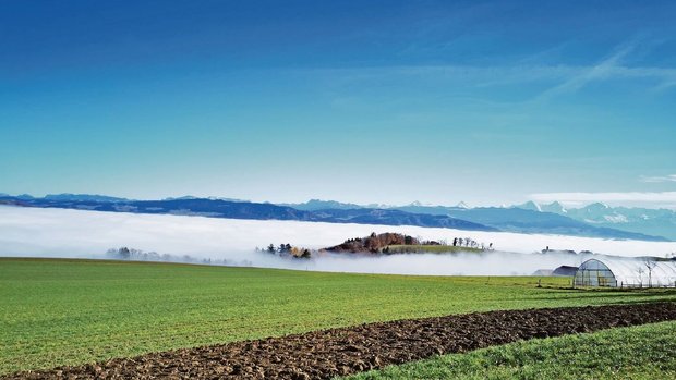 Nebel hat vielfach einen positiven Einfluss auf den lokalen Wasserkreislauf. Durch die feinen Wassertröpfchen in der Luft nimmt die Verdunstung ab. So beeinflussen auch längere Trockenphasen den Grundwasserspiegel nur wenig. 