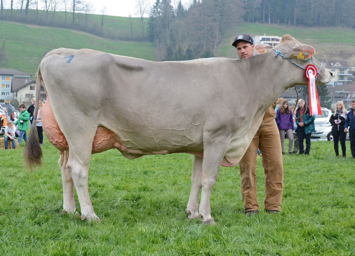 Schöneuter mittlere, Jongleur Jowa, WTS-Genetics, Menznau.