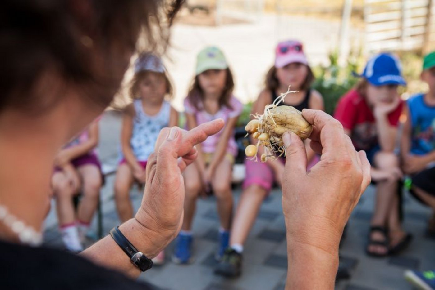 Auf Judith Pfefferlis Hof kommen Kinder in Kontakt mit der Landwirtschaft. Damit es für die Kleinen nicht langweilig wird, passt die Kindergärtnerin ihre Kurse laufend an. (Bild zVg/Judith Pfefferli)