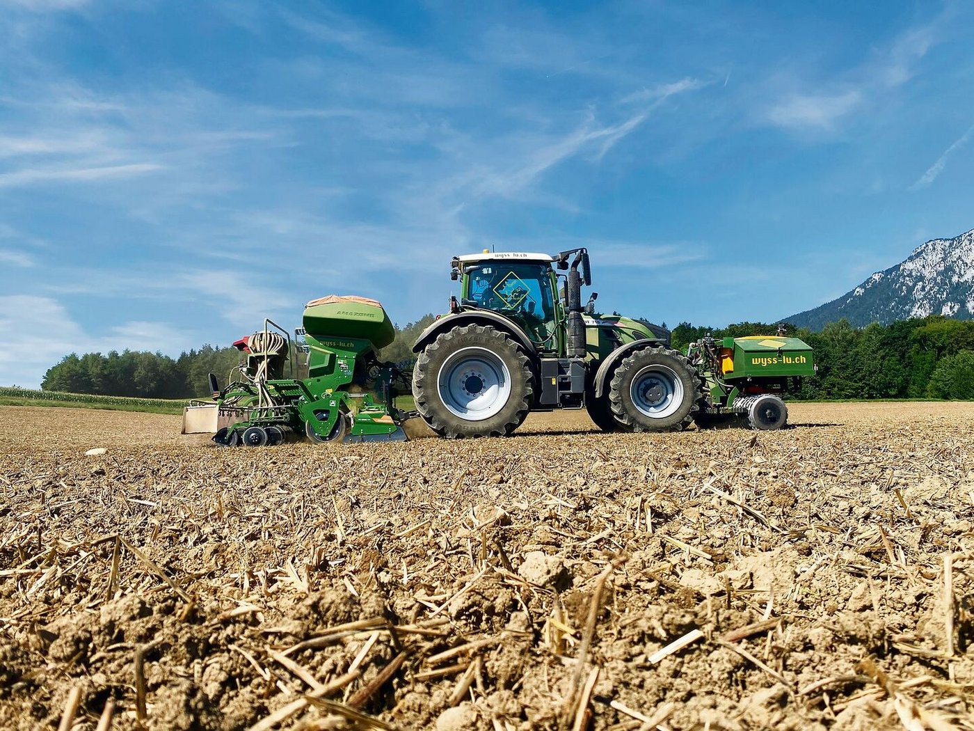 Die Rapssaat am Wallierhof erfolgte früh. Um einen allfälligen Rapserdfloh-Befall zu beurteilen, sind jetzt Gelbfallen ebenerdig im Feld zu vergraben.