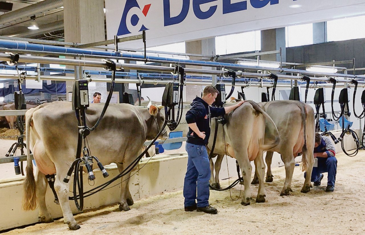Melkanlage an der «Tier & Technik» in St. Gallen: die Milchindustrie will künftig die Zwischenmelkzeiten begrenzen, statt die Symptombekämpfung mit Collodium zu verbieten. (Bild akr)