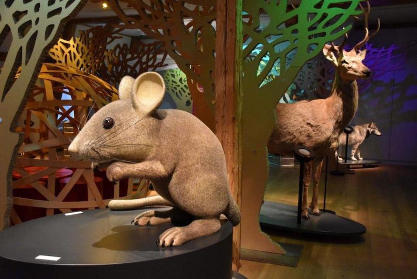 Ein Blick in die Sonderausstellung «Grimms Tierleben» im Schloss Landshut. (Bild Schloss Landshut)