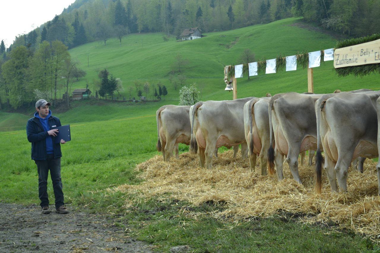 Zuchtfamilie der Kuh Betty von Paul Barmettler, Oberdorf, mit der Beurteilung 77 Punkte, Klasse A.
