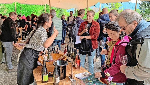 Weinbaubetriebe luden letztes Wochenende zu Präsentation und Degustation, so auch das Bio-Weingut Sitenrain in Meggen. 