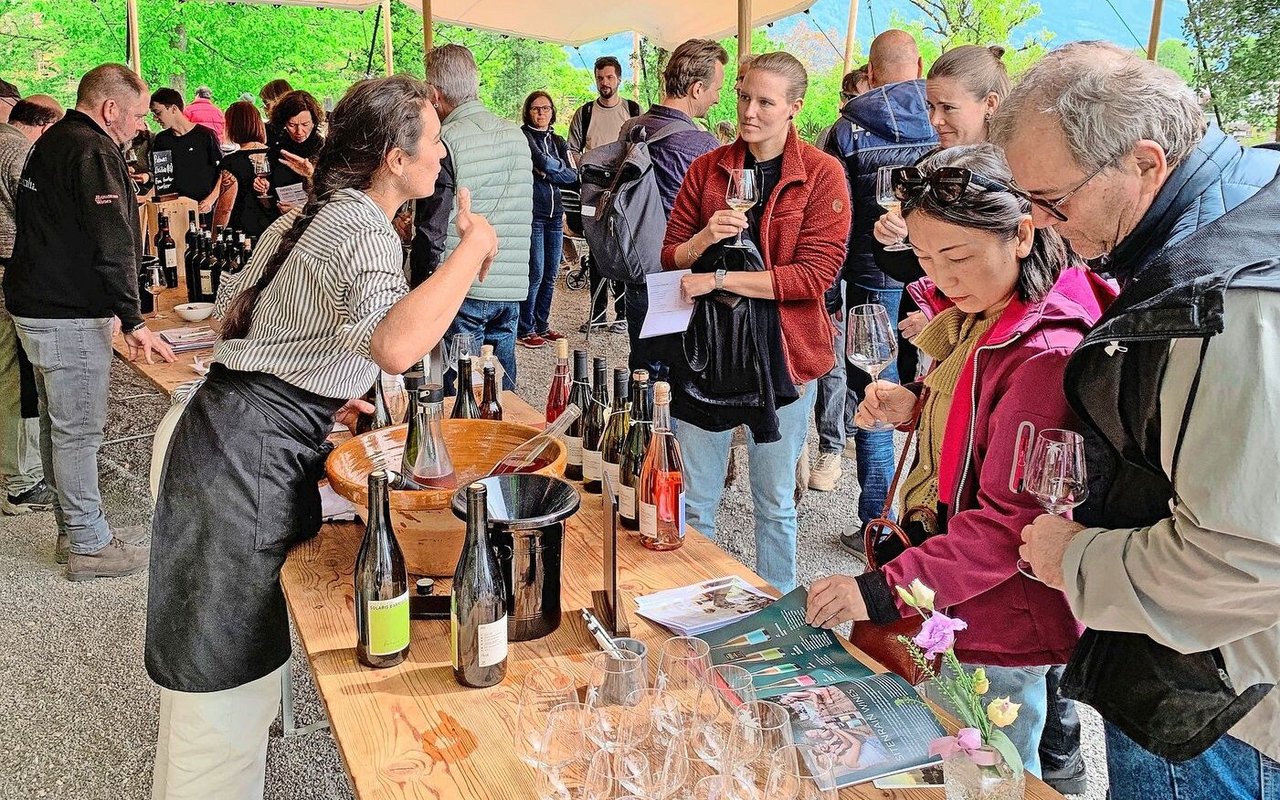 Weinbaubetriebe luden letztes Wochenende zu Präsentation und Degustation, so auch das Bio-Weingut Sitenrain in Meggen. 