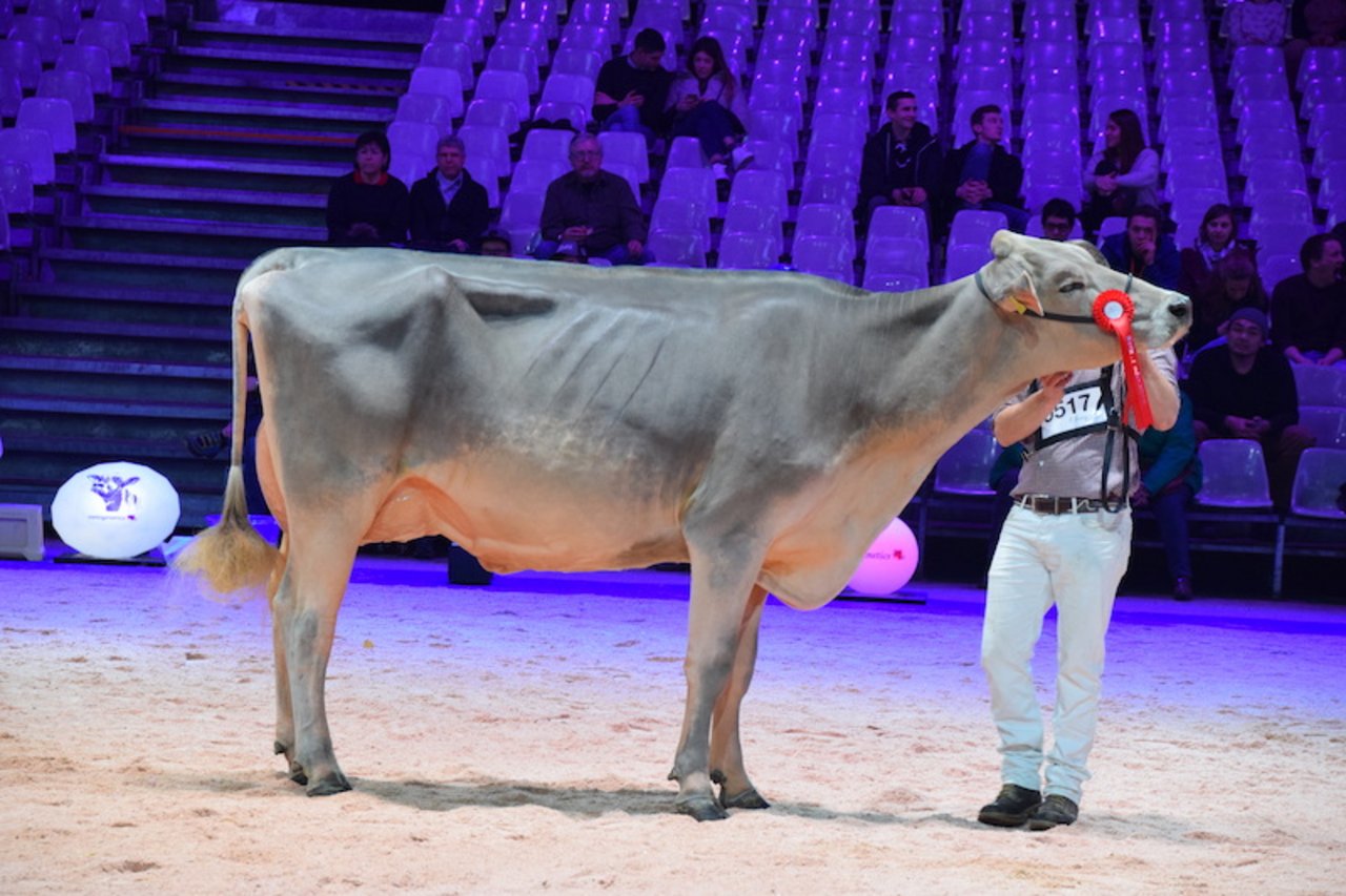 Siegerin Kat. 7: Alino Blena von Tom und Noe Salzgeber aus Pany GR.