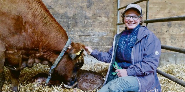 Die 16-jährige Kuh Jolie hat während des Porträttermins ein gesundes Stierkalb zur Welt gebracht. Die Autorin durfte ihm einen Namen geben. Sie hat den Kleinen Joni getauft. (Bilder Esther Thalmann)