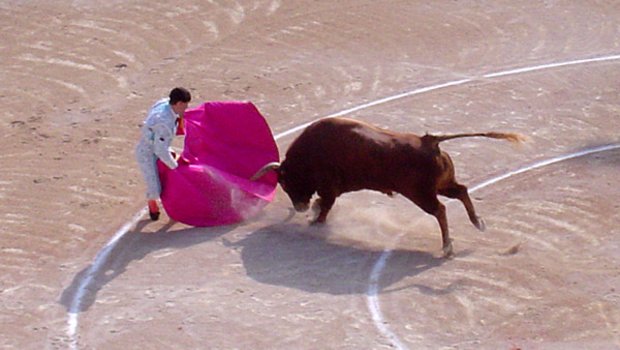 Stierkampf ist in Spanien und Mallorca vor allem bei älteren Menschen beliebt (Bild ChrisO)