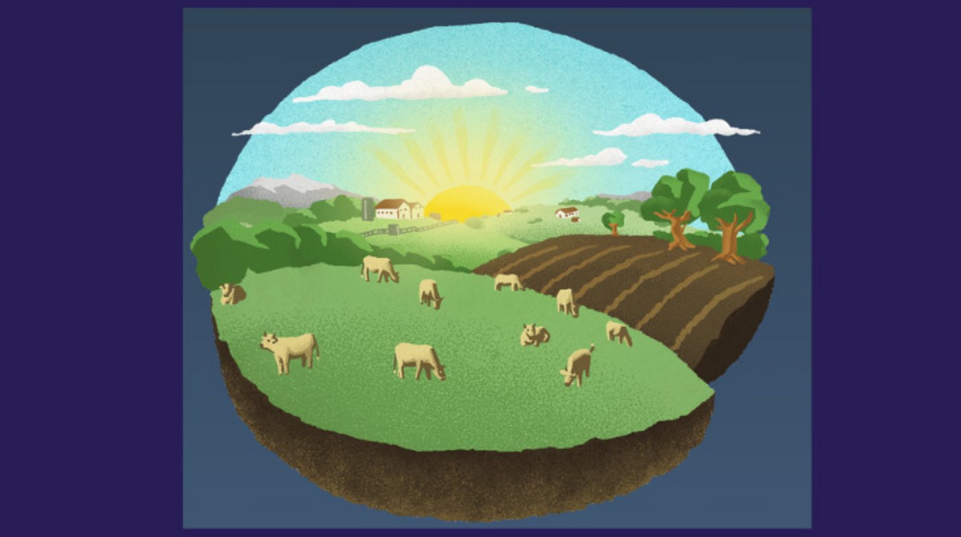 «Die Bäuerinnen und Bauern dürfen bei der Herausforderung einer Betriebsumstellung nicht allein gelassen werden. Sie brauchen starke Partner aus Praxis, Forschung und Handel», heisst es auf der Info-Webiste der Bio-Stiftung Schweiz. (Bild Screenshot pestizidmythen.ch)